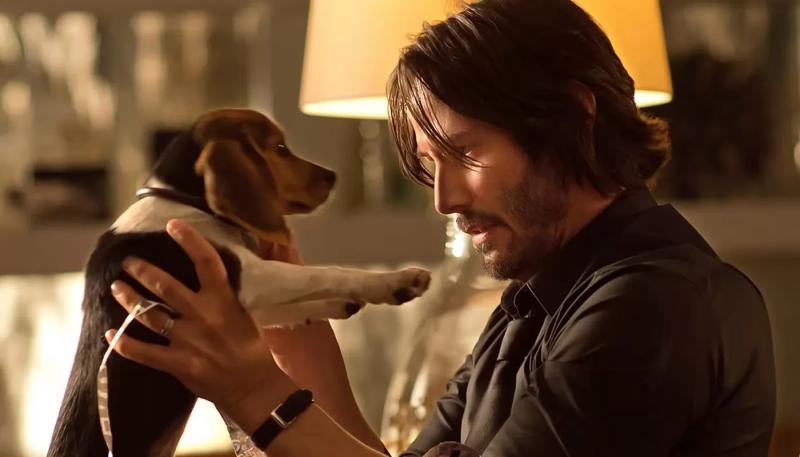 Lionsgate снимет анимационный приквел о Джоне Уике