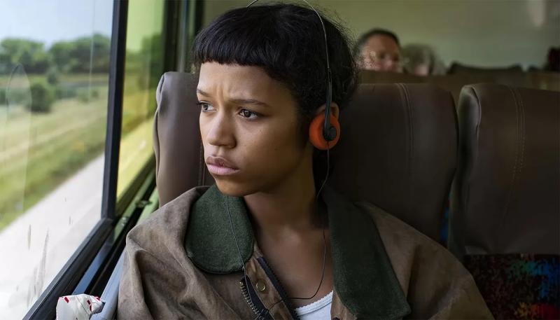 Новая "Афера Томаса Крауна" лишилась главной актрисы