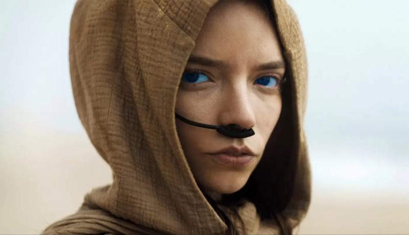 Дени Вильнев снимет фильм "Дюна 3" на пленку