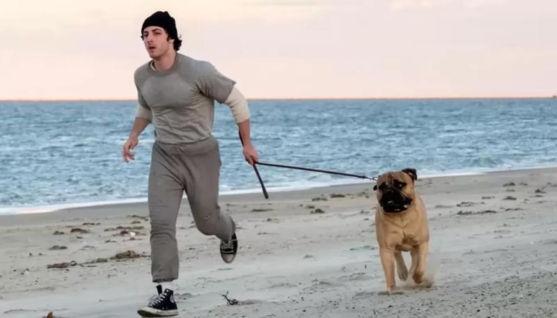 "Рокки - это я" выйдет к юбилею фильма Сильвестра Сталлоне "Рокки"