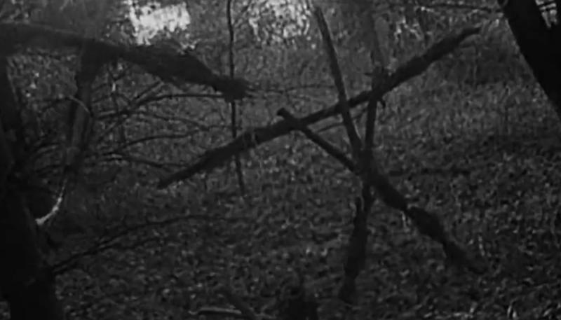 Назван режиссер новой версии фильма ужасов "Ведьма из Блэр"